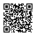 Qubes Bitcoin donation address QR code